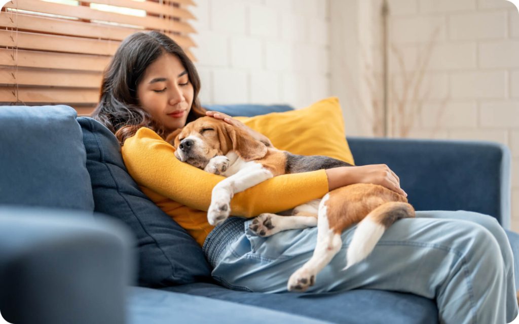 A young woman in a yellow sweater cuddling a Beagle on a cozy blue couch in a bright room, both appearing relaxed and content.